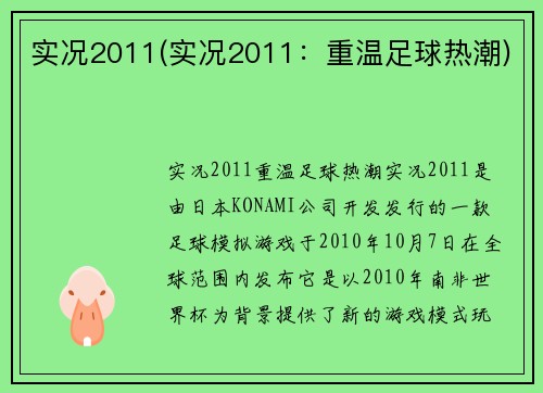 实况2011(实况2011：重温足球热潮)